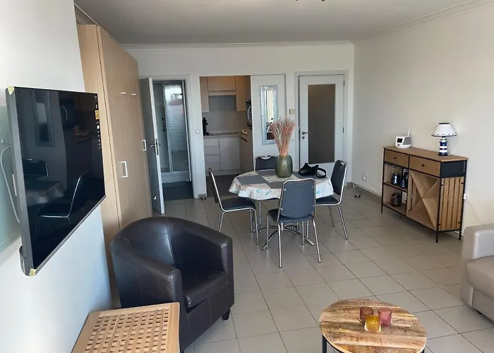 Zeezicht 27 B בלנקנברג